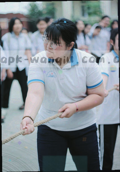 多条横向事件线和日期标记构成的时间轴